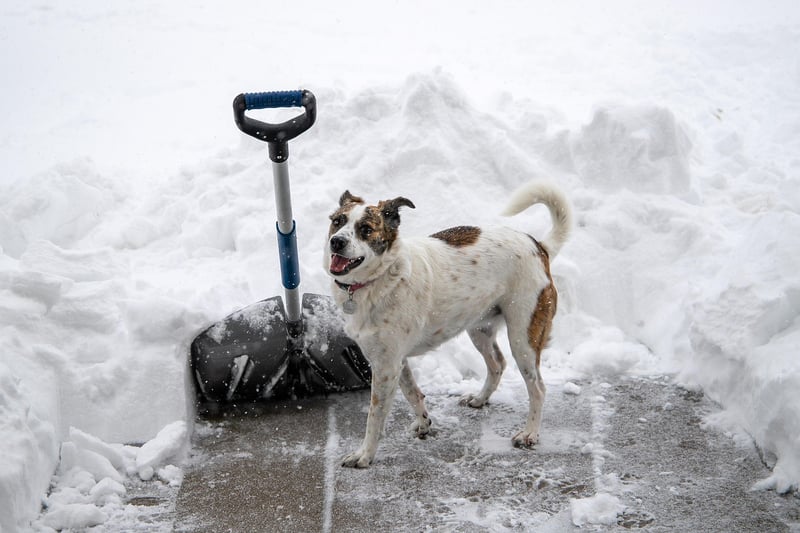 Spellbinding Shovels
