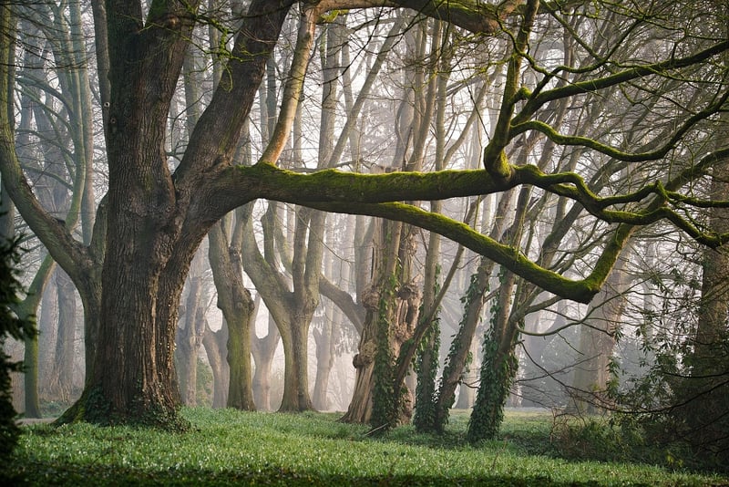 Mystical Seating Area