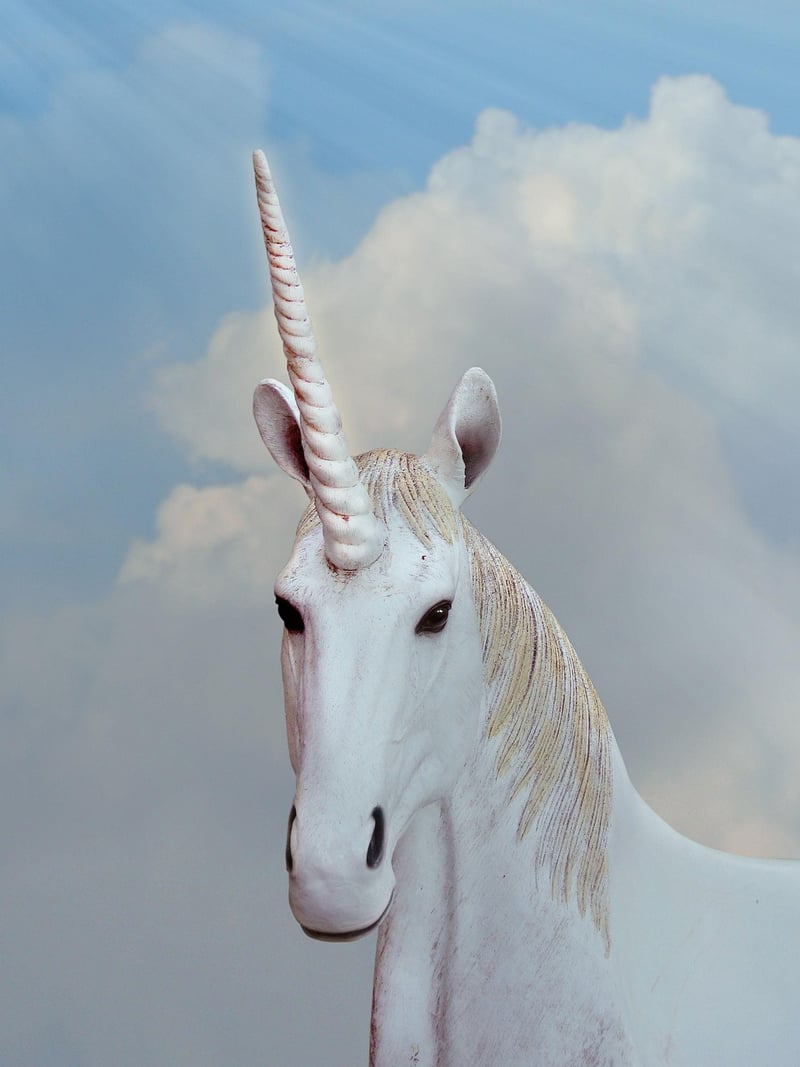 Unicorn Pruner